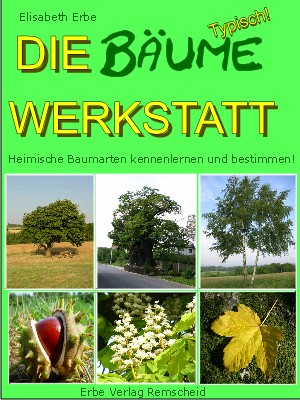 Baum Werkstatt